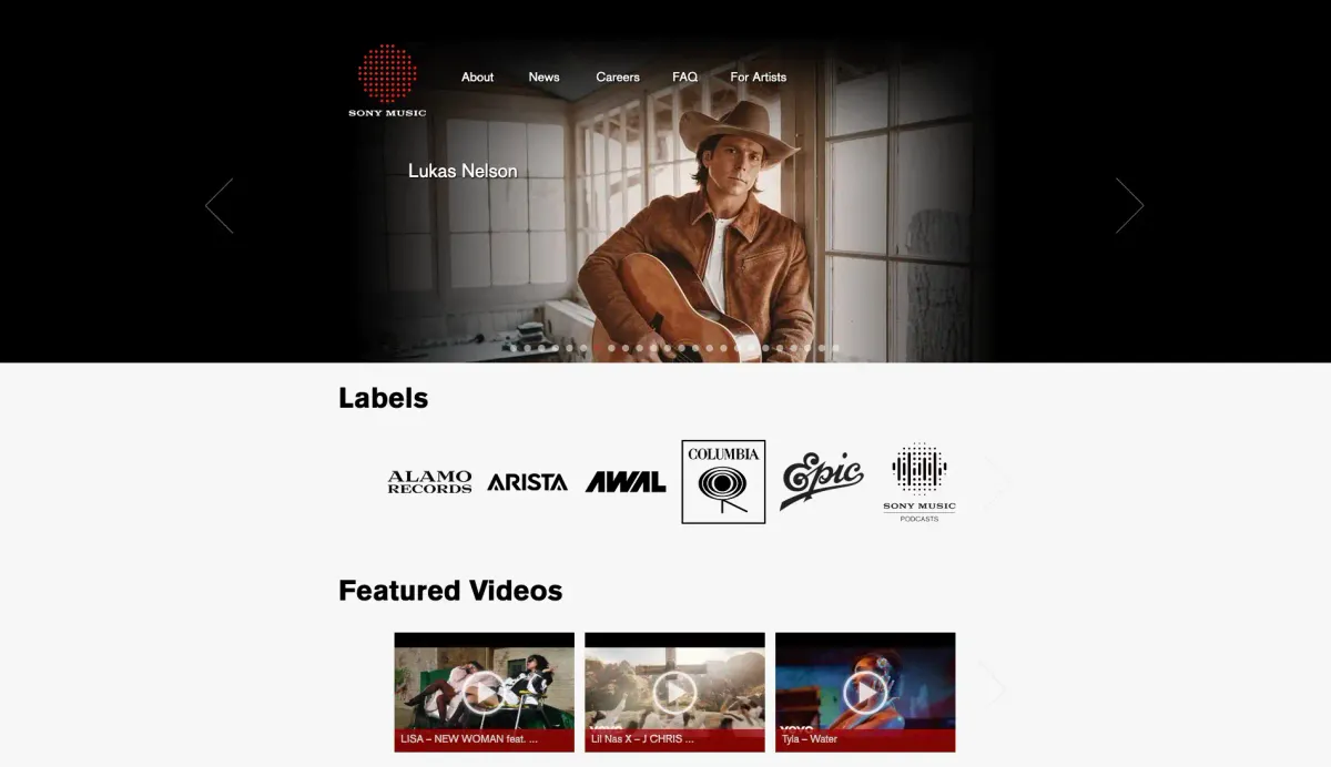 WordPress Website