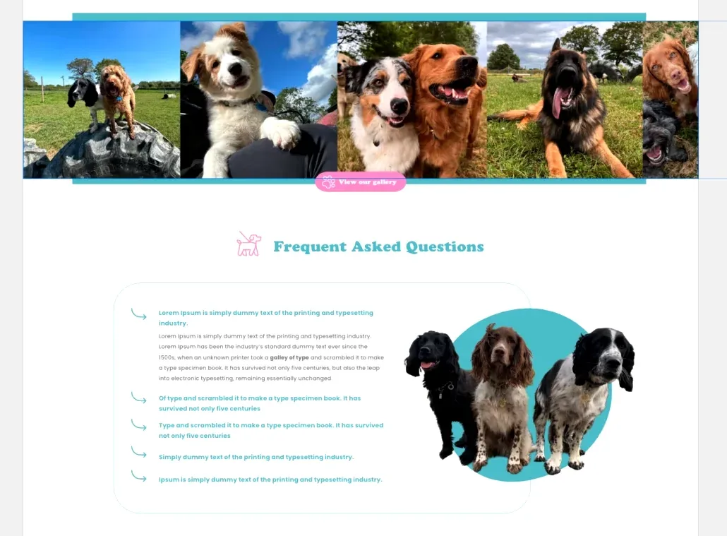 Zara's Doggy Day Care website pages